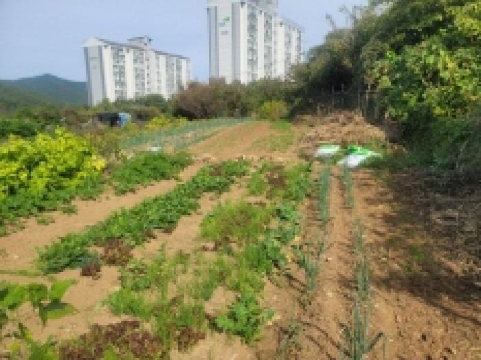 경상남도 통영시 미수동 679 주택 경매 사진 59
