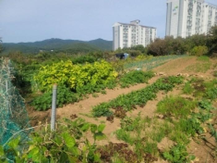 경상남도 통영시 미수동 679 주택 경매 사진 60