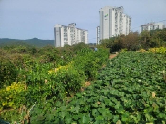 경상남도 통영시 미수동 679 주택 경매 사진 62
