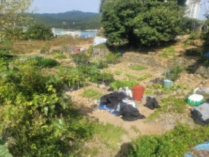 경상남도 통영시 미수동 679 주택 경매 사진 66