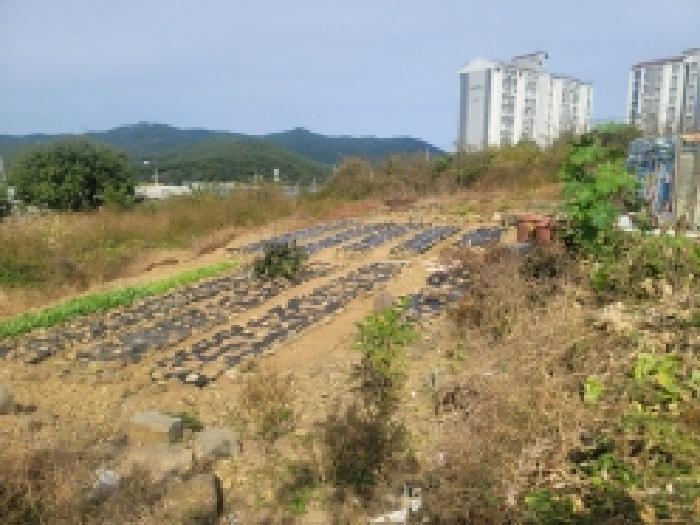경상남도 통영시 미수동 679 주택 경매 사진 67