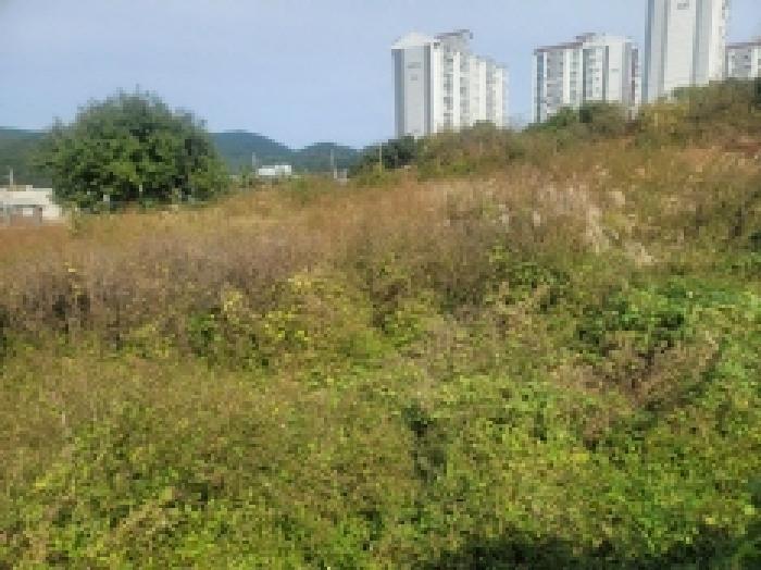 경상남도 통영시 미수동 679 주택 경매 사진 72