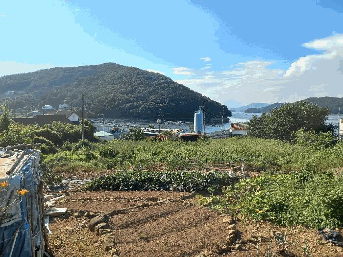 경상남도 통영시 미수동 679 주택 경매 사진 9