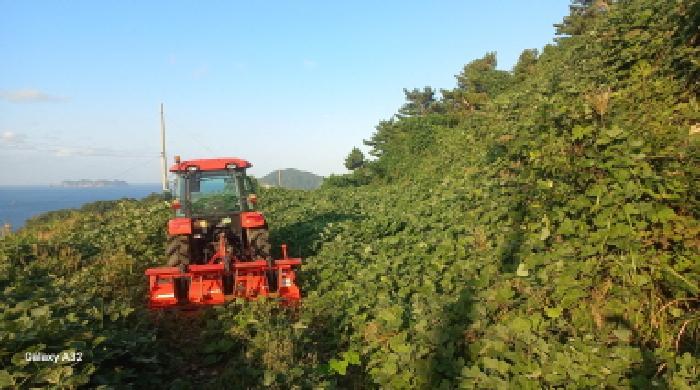 경상남도 통영시 욕지면 동항리 327-9 전 경매 사진 9