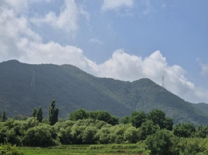경상북도 포항시 북구 흥해읍 용곡리 411 답 경매 사진 19