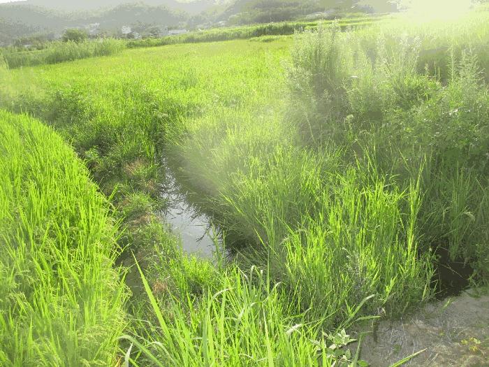 경상북도 포항시 북구 답