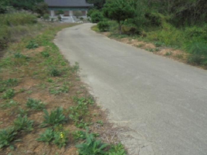 충청북도 음성군 금왕읍 용계리 279-1 종교시설 경매 사진 36
