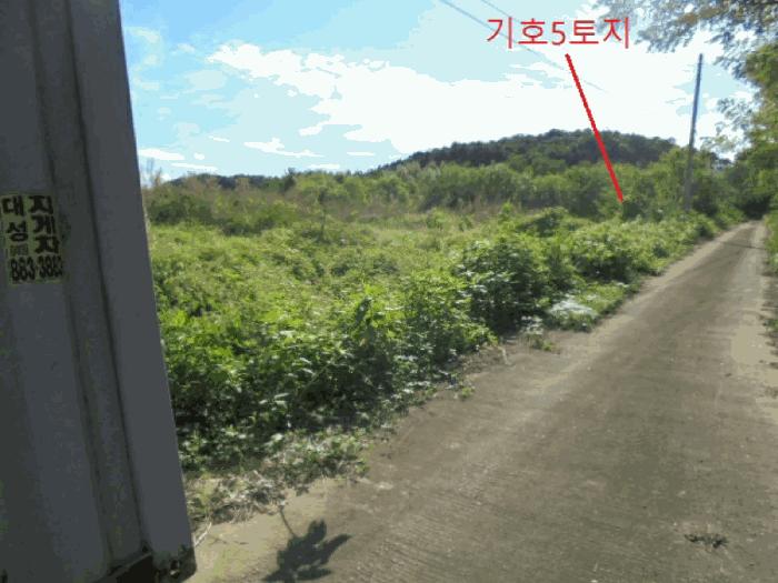 충청북도 음성군 금왕읍 용계리 279-1 종교시설 경매 사진 8
