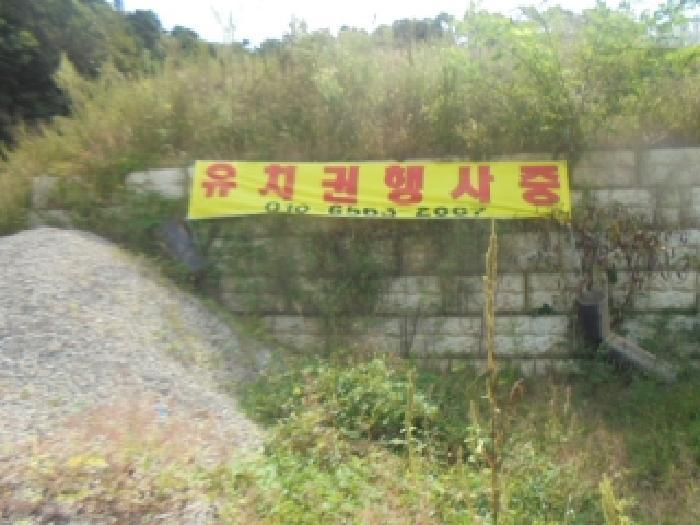 충청북도 음성군 생극면 생리 산6-5 임야 경매 사진 13