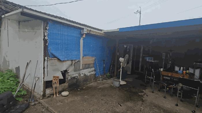 충청북도 충주시 앙성면 능암리 623-14 주택 경매 사진 5