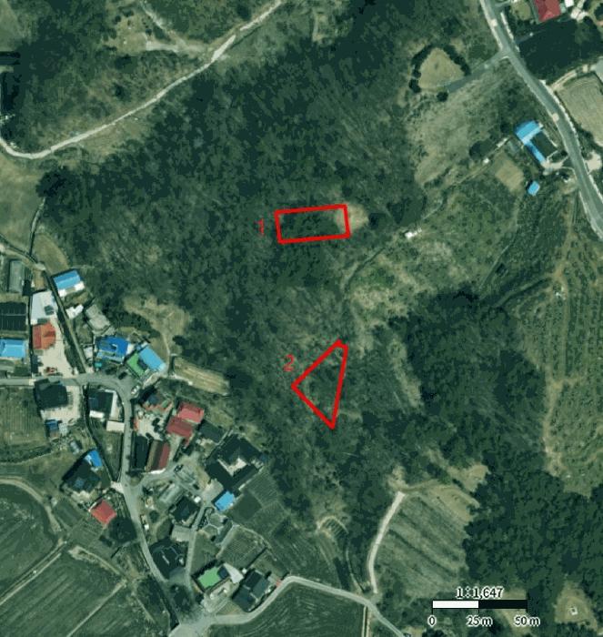 충청북도 충주시 앙성면 용포리 산4-28 임야 경매 사진 10