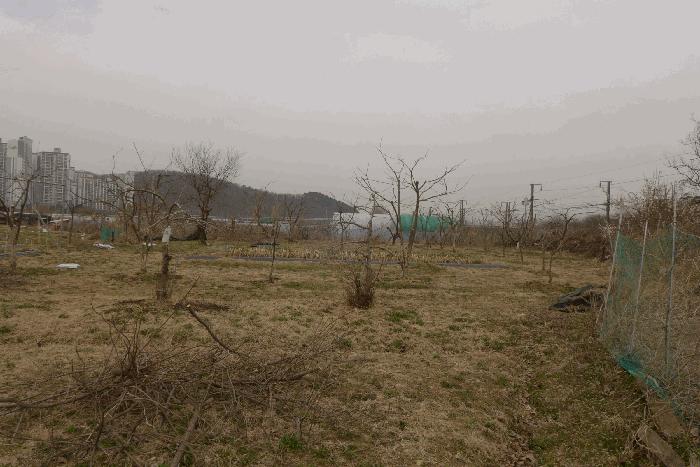 대구광역시 수성구 매호동 530-1 전 경매 사진 11