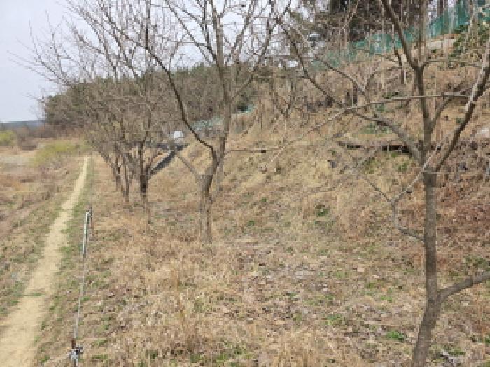 대구광역시 수성구 매호동 530-1 전 경매 사진 14