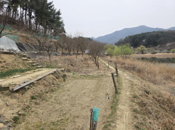 대구광역시 수성구 매호동 530-1 전 경매 사진 15