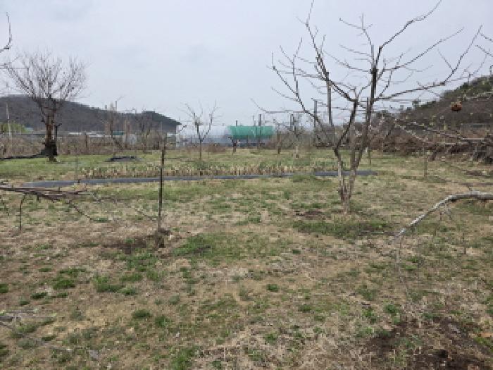 대구광역시 수성구 매호동 530-1 전 경매 사진 19