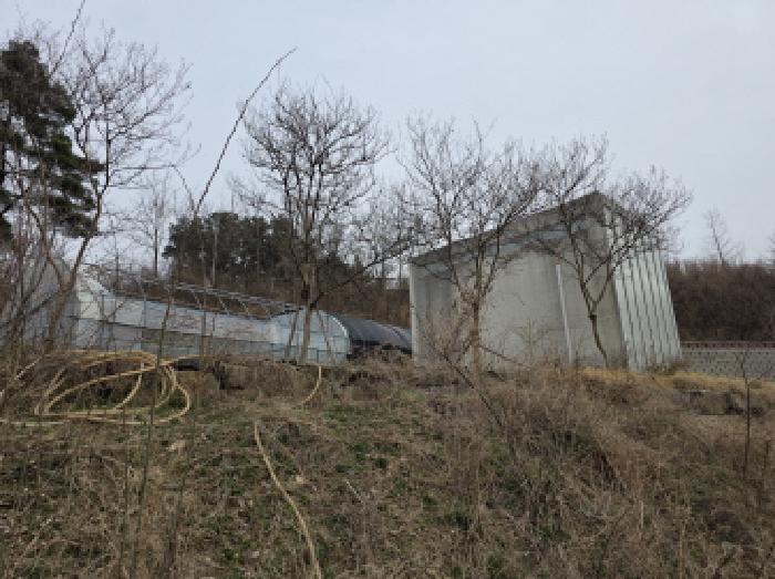 대구광역시 수성구 매호동 530-1 전 경매 사진 21