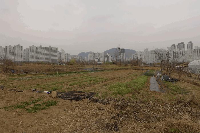 대구광역시 수성구 매호동 530-1 전 경매 사진 8