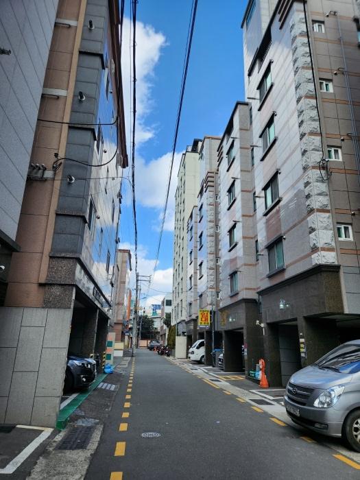 부산광역시 남구 고동골로4번길 15-16, 3층302호 (문현동,러브리티)구) 부산광역시 남구 문현동 205-34 다세대(빌라) 경매 사진 1