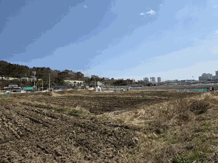 부산광역시 기장군 기장읍 석산리 126-1 답 경매 사진 3