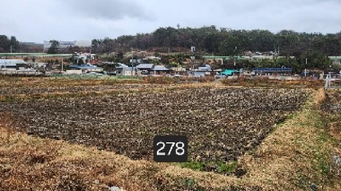 부산광역시 기장군 기장읍 석산리 126-1 답 경매 사진 5