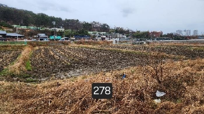부산광역시 기장군 기장읍 석산리 126-1 답 경매 사진 6