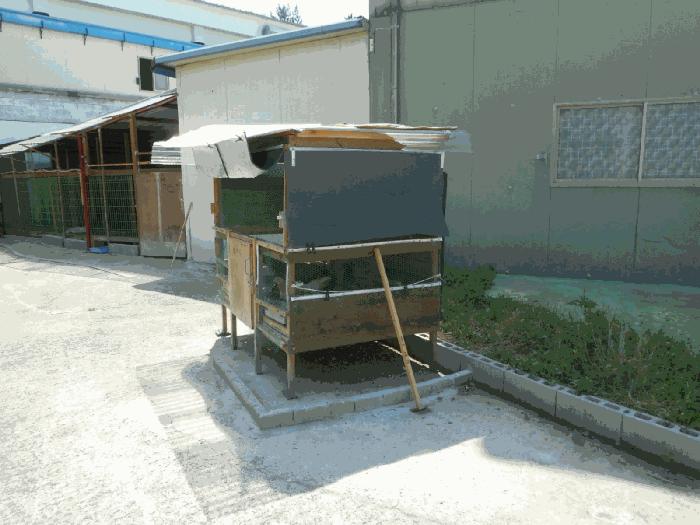 경상북도 경산시 남산면 송내리 45 공장 경매 사진 26