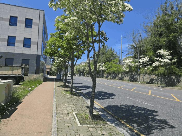 부산광역시 기장군 정관읍 달산리 1237-2 대지 경매 사진 2