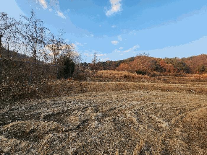 부산광역시 기장군 장안읍 명례리 806 답 경매 사진 10