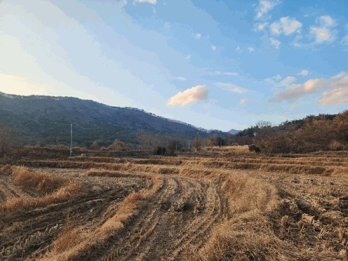 부산광역시 기장군 장안읍 명례리 806 답 경매 사진 2