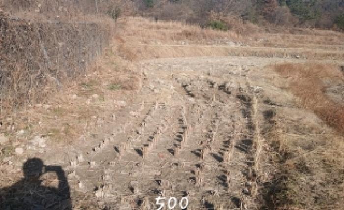 부산광역시 기장군 장안읍 명례리 806 답 경매 사진 4
