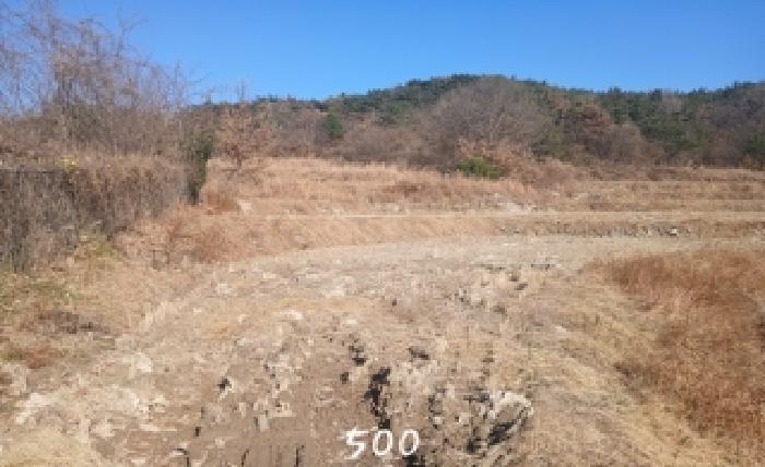 부산광역시 기장군 장안읍 명례리 806 답 경매 사진 5
