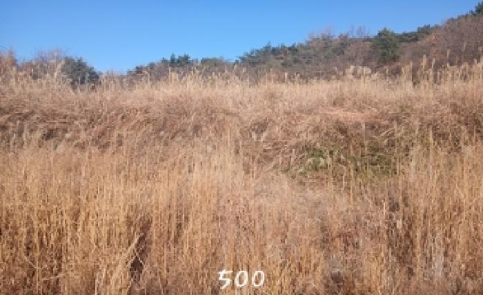 부산광역시 기장군 장안읍 명례리 806 답 경매 사진 6