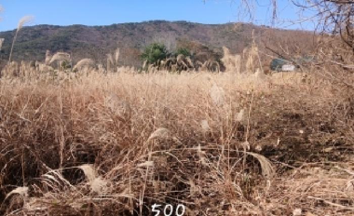 부산광역시 기장군 장안읍 명례리 806 답 경매 사진 7