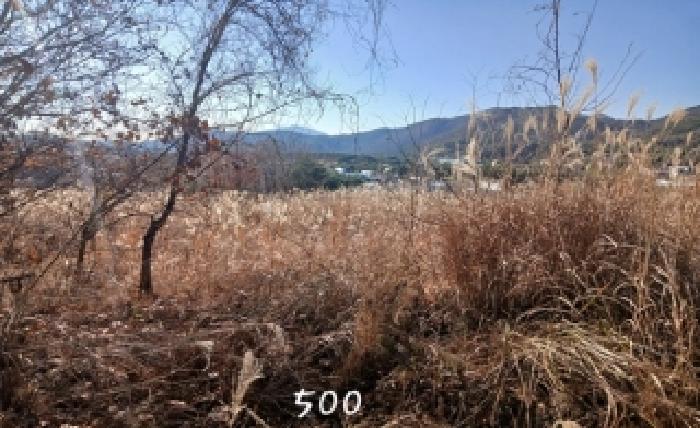 부산광역시 기장군 장안읍 명례리 806 답 경매 사진 8