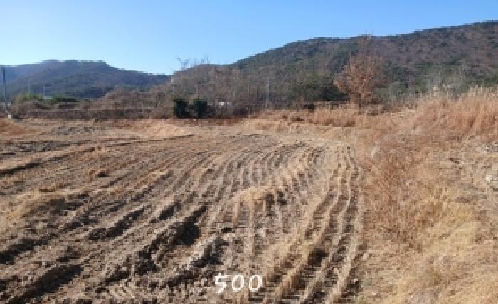 부산광역시 기장군 장안읍 명례리 806 답 경매 사진 9