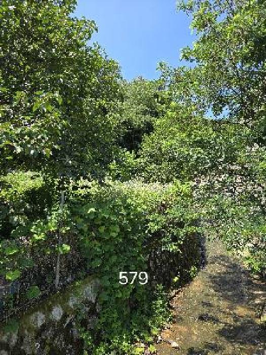 부산광역시 기장군 정관읍 용수리 874 답 경매 사진 11