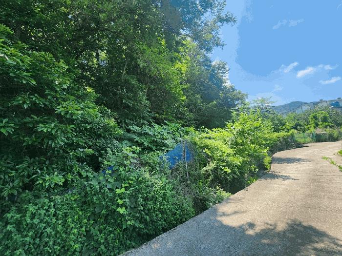 부산광역시 기장군 정관읍 용수리 874 답 경매 사진 12