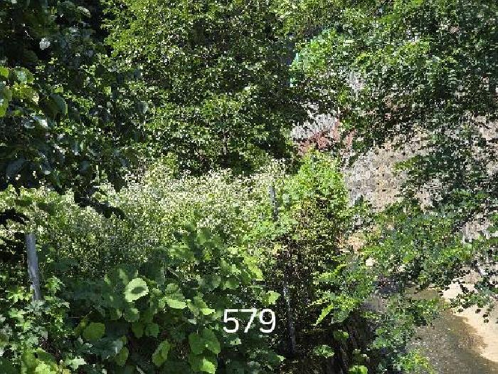 부산광역시 기장군 정관읍 용수리 874 답 경매 사진 5