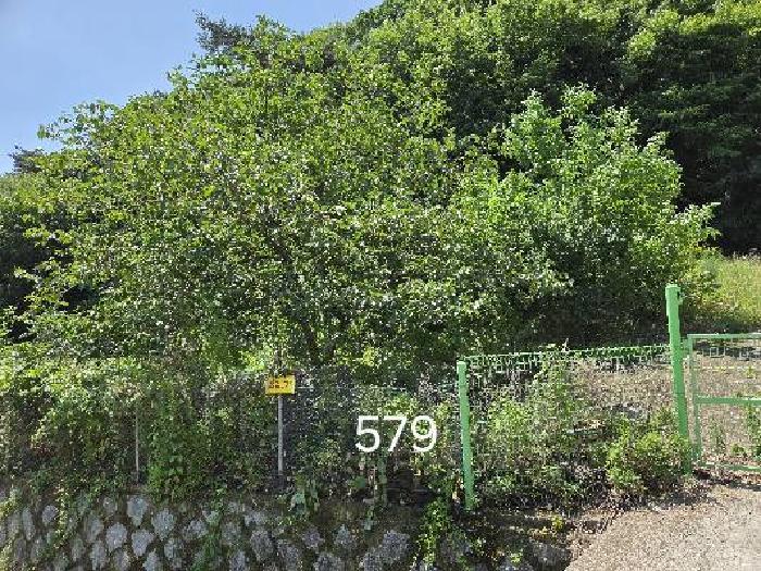 부산광역시 기장군 정관읍 용수리 874 답 경매 사진 7