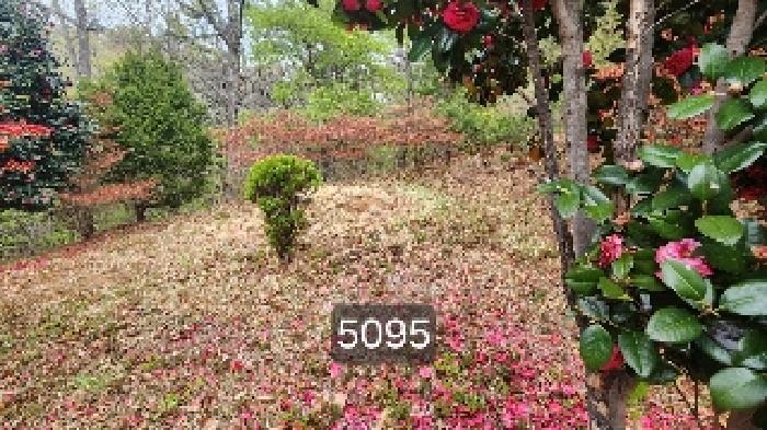 부산광역시 기장군 정관읍 월평리 산34 임야 경매 사진 10