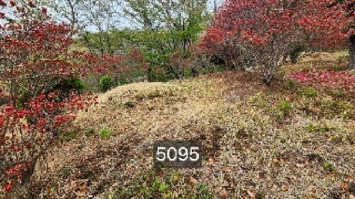 부산광역시 기장군 정관읍 월평리 산34 임야 경매 사진 13