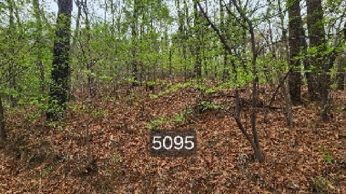 부산광역시 기장군 정관읍 월평리 산34 임야 경매 사진 15