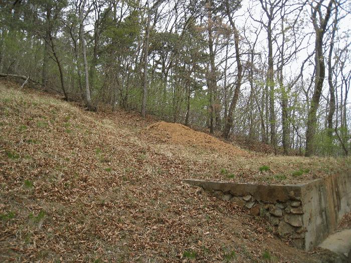 부산광역시 기장군 정관읍 월평리 산34 임야 경매 사진 2