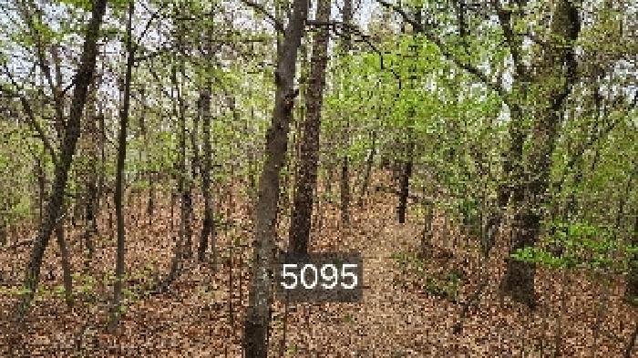 부산광역시 기장군 정관읍 월평리 산34 임야 경매 사진 20