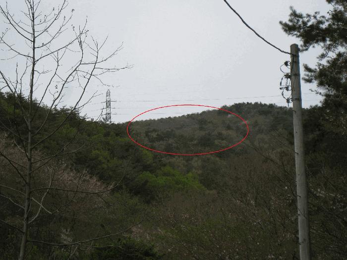부산광역시 기장군 정관읍 월평리 산34 임야 경매 사진 4