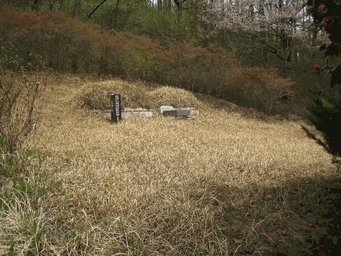부산광역시 기장군 정관읍 월평리 산34 임야 경매 사진 5