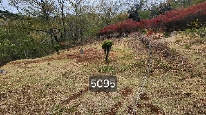 부산광역시 기장군 정관읍 월평리 산34 임야 경매 사진 7