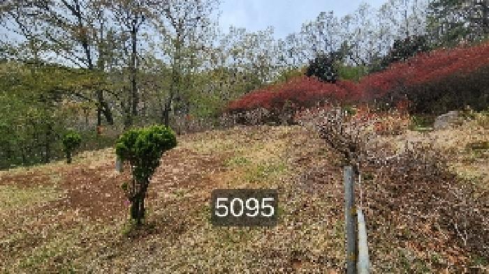 부산광역시 기장군 정관읍 월평리 산34 임야 경매 사진 8