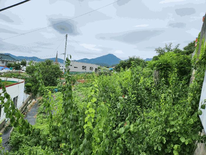 경상남도 통영시 도천동 894 임야 경매 사진 1