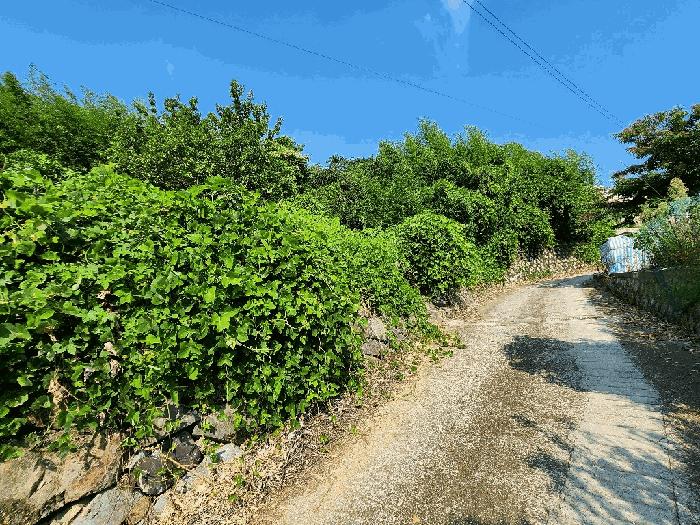 경상남도 거제시 일운면 옥림리 135 전 경매 사진 2